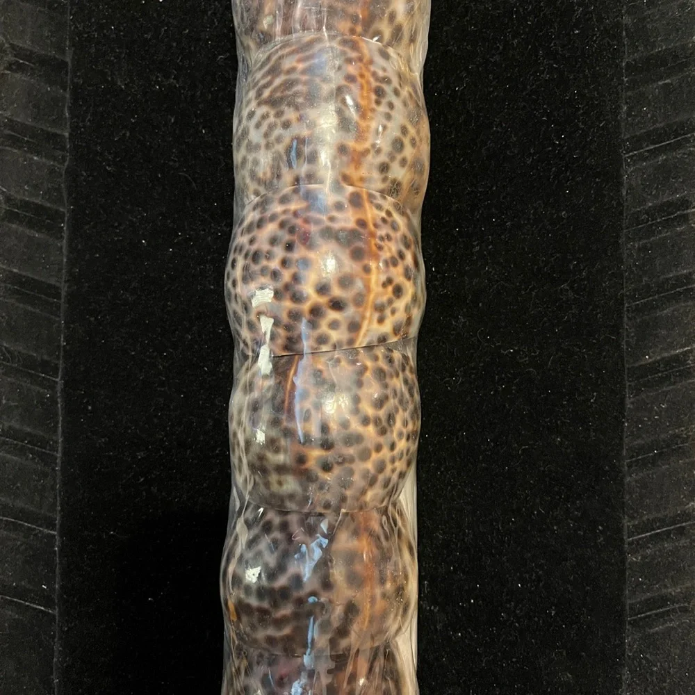 Vintage Tiger Cowrie Sea Shell NAPKIN RING Holders SET of 6 Natural Brown Black